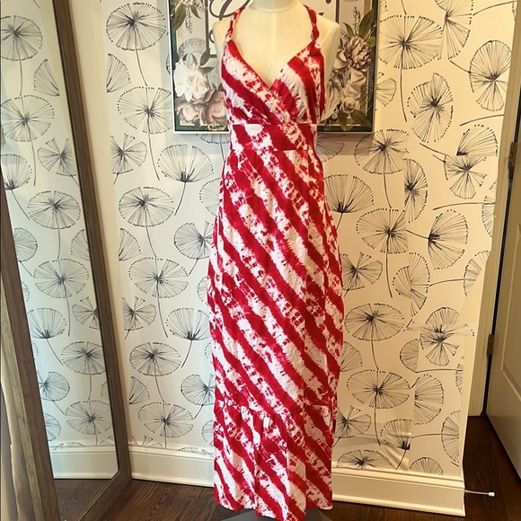Calypso for Target 10 Red and White Striped Maxi Dress - Picture 2 of 3